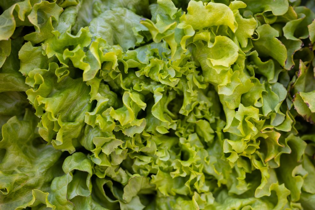 Photo by Engin Akyurt: https://www.pexels.com/photo/close-up-photo-of-green-lettuce-10111486/

Meningkatkan Efisiensi Irigasi dengan Sistem Smart Hydrofarming