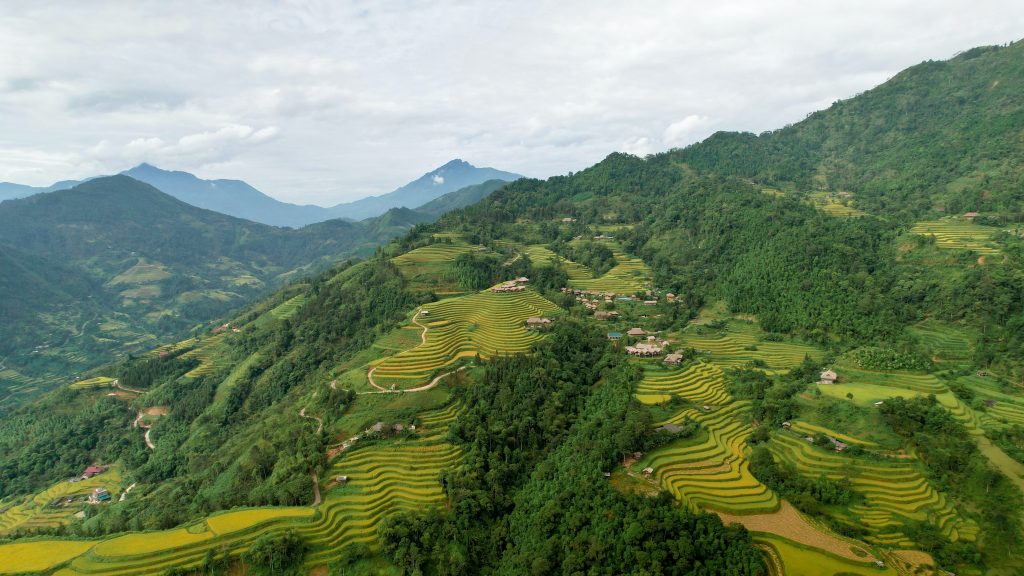 Photo by Khiển Hoàng: https://www.pexels.com/photo/photo-of-rice-terraces-9761822/

Komponen Utama Sistem Irigasi Otomatis