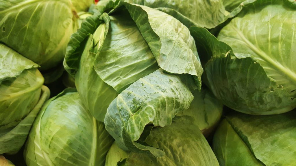 Photo by Pixabay: https://www.pexels.com/photo/close-up-shot-of-fresh-green-cabbages-277273/

Inovasi dalam Smart Hydrofarming