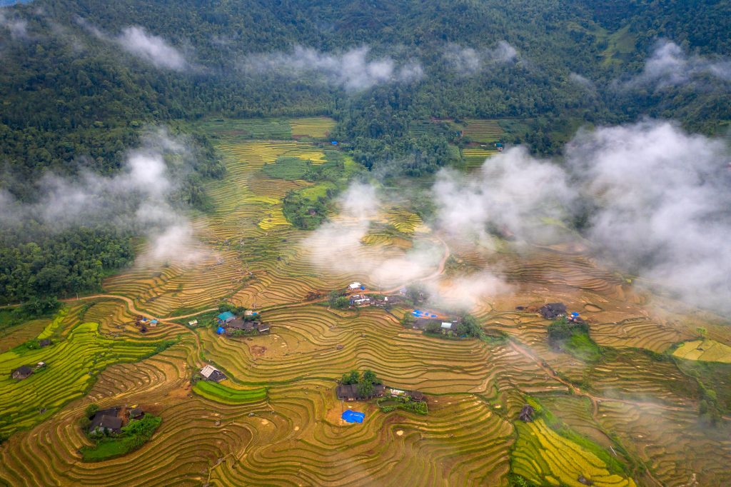 Photo by Quang Nguyen Vinh: https://www.pexels.com/photo/aerial-view-of-rice-paddies-14025255/

Agriculture Pintar: Pertanian Modern dengan Teknologi Canggih
