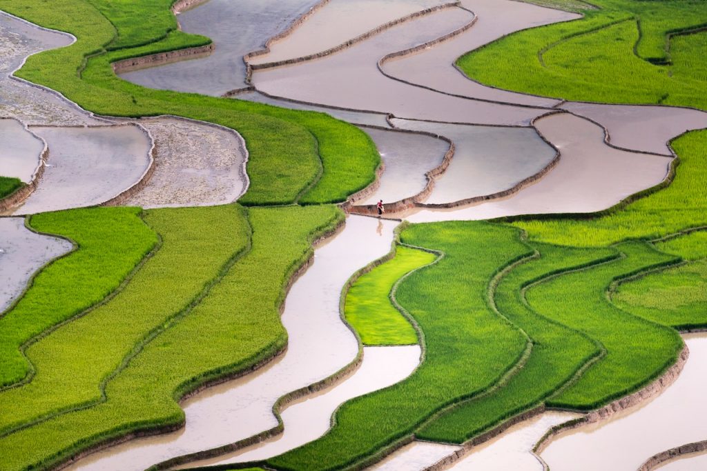 Photo by Quang Nguyen Vinh: https://www.pexels.com/photo/green-rice-terraces-2131944/

Teknologi Drone dalam Pemantauan Pertanian di Smart Agriculture