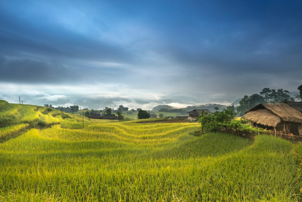 Photo by Quang Nguyen Vinh: https://www.pexels.com/photo/brown-house-surround-by-grass-field-2132089/

Kesimpulan