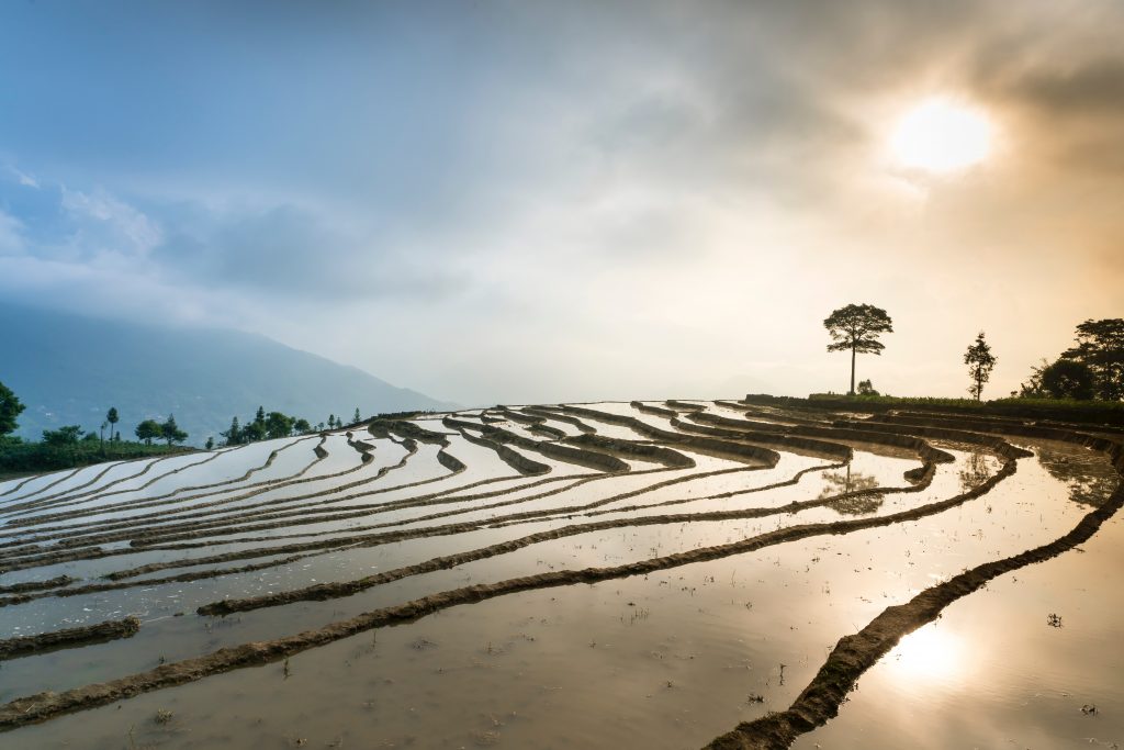 Photo by Quang Nguyen Vinh: https://www.pexels.com/photo/scenery-of-stair-farm-2161540/

Penerapan Teknologi Drone dalam Pemantauan Pertanian