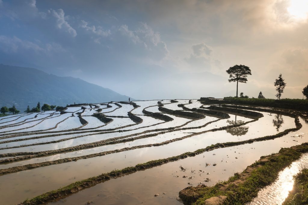 Photo by Quang Nguyen Vinh: https://www.pexels.com/photo/rice-field-under-blue-sky-2161595/

Kesimpulan