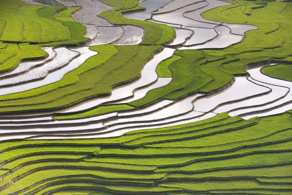 Photo by Quang Nguyen Vinh: https://www.pexels.com/photo/rice-terraces-2162115/

Integrasi Sensor untuk Pemantauan Tanaman di Smart Agriculture