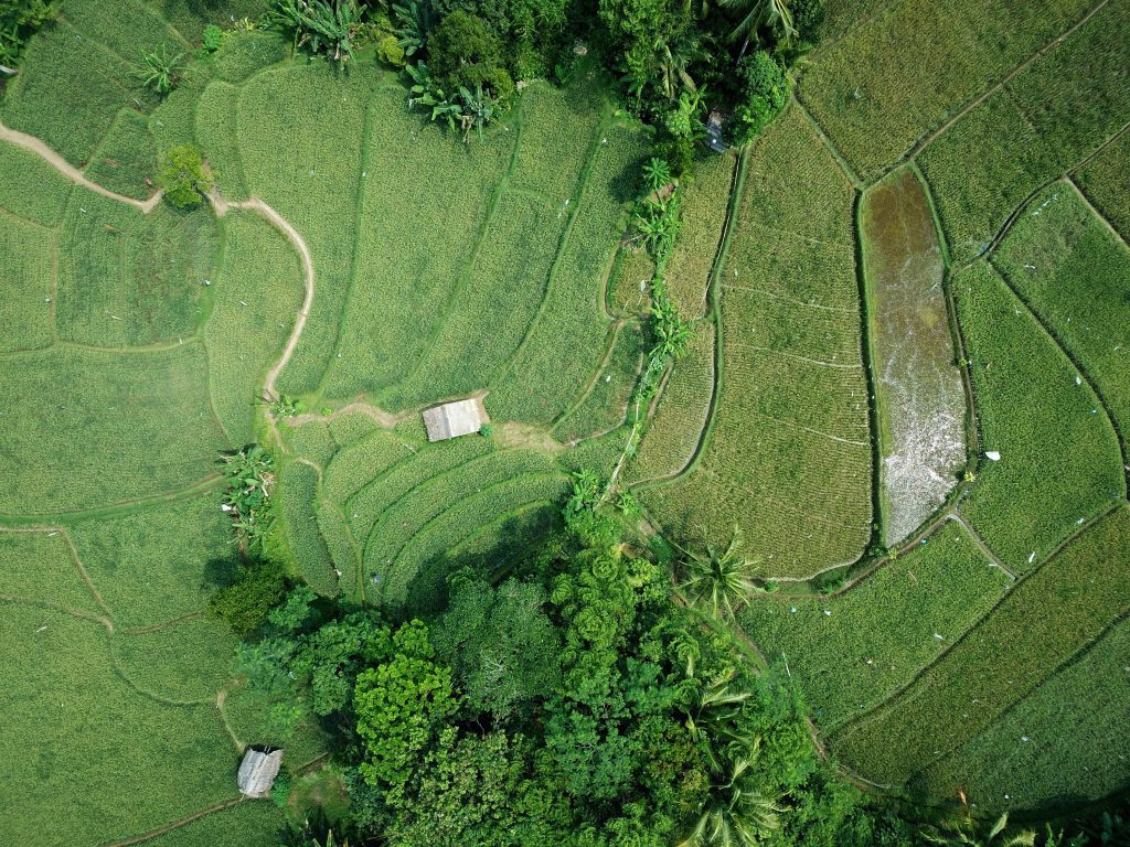 Photo by Tom Fisk: https://www.pexels.com/photo/aerial-photography-of-green-field-1081912/

Mengintegrasikan Teknologi Sensor dalam Pemantauan Tanaman