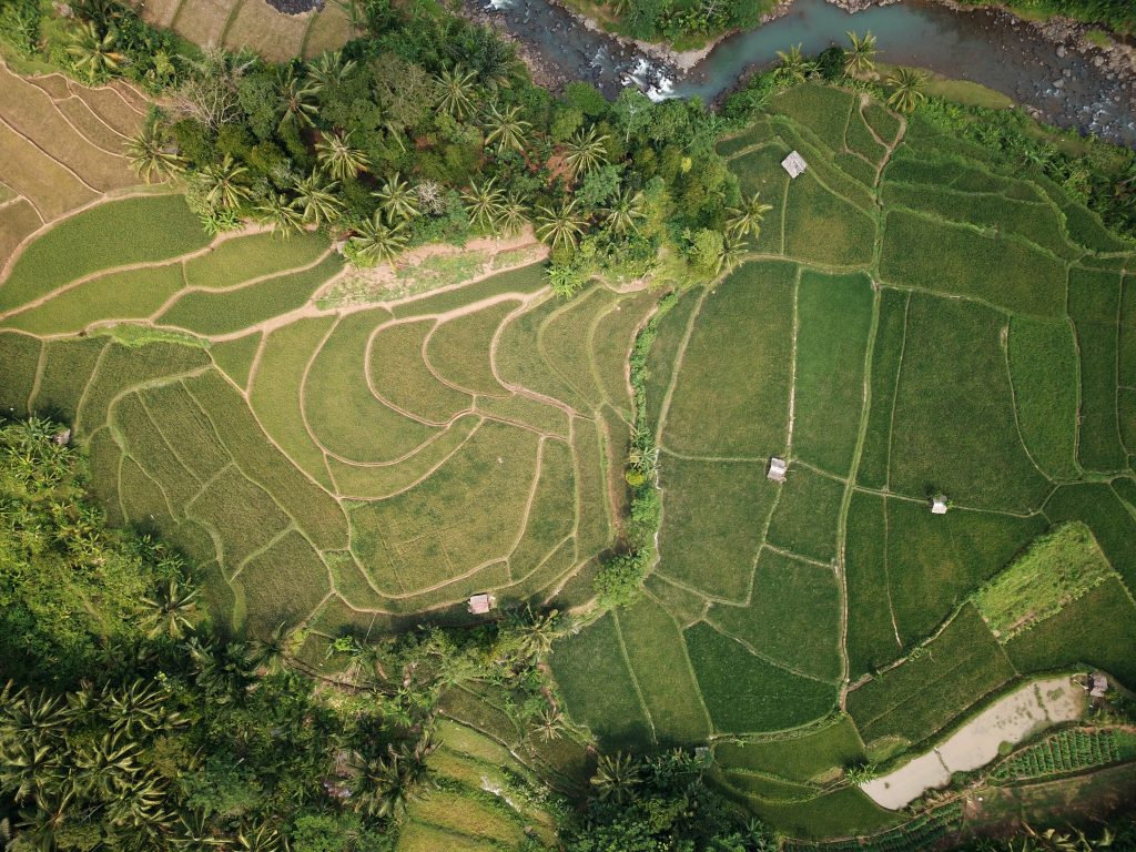 Photo by Tom Fisk: https://www.pexels.com/photo/aerial-photography-of-land-at-daytime-1081915/

Peran Smart Agriculture dalam Pertanian Berkelanjutan