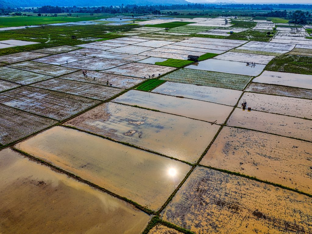 Photo by Tom Fisk: https://www.pexels.com/photo/aerial-shot-of-farmland-4872140/

Konsep Pertanian Berkelanjutan