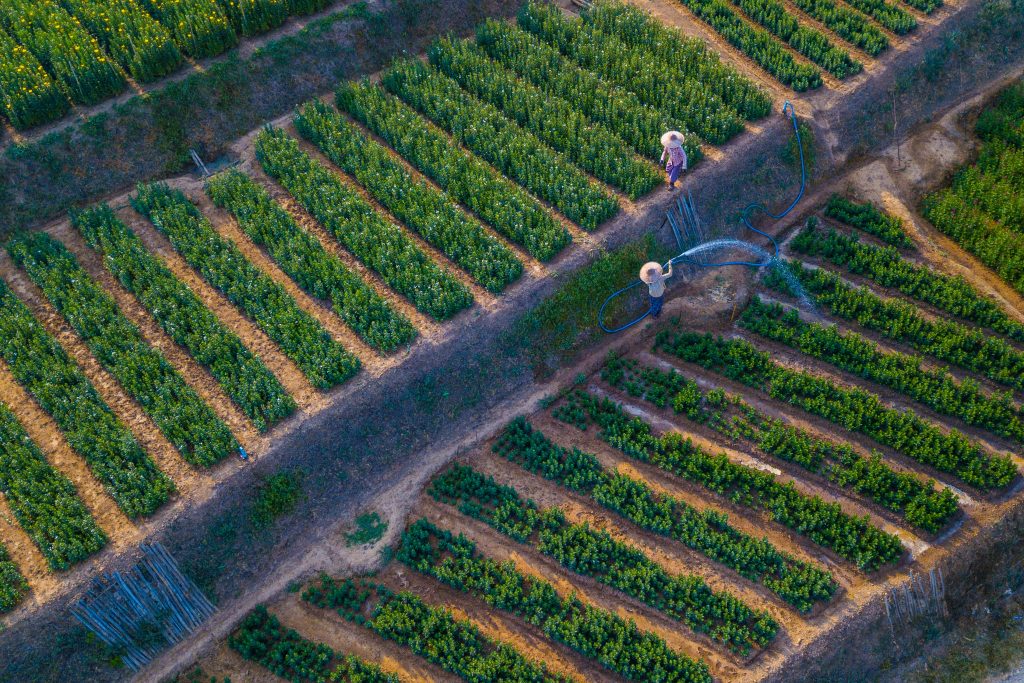 Photo by Tony  Wu : https://www.pexels.com/photo/droen-shot-of-watering-of-vineyard-5555232/

Penerapan Teknologi IoT dalam Pertanian