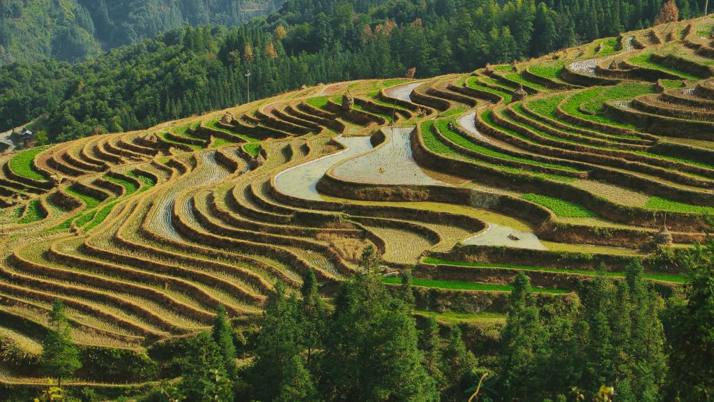 Photo by ZHICHENG ZHANG: https://www.pexels.com/photo/agricultural-rice-terraces-land-14828733/

Memahami Sistem Irigasi Otomatis di Smart Agriculture