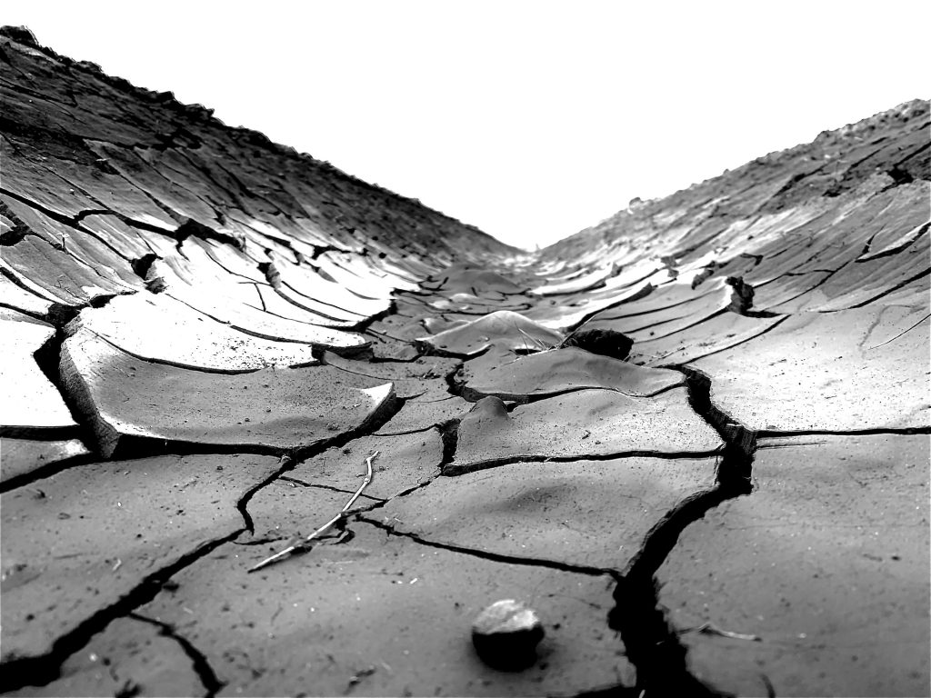 Mengurangi Erosi Tanah
Foto oleh Mario A. Villeda: https://www.pexels.com/id-id/foto/foto-grayscale-retakan-tanah-3773042/