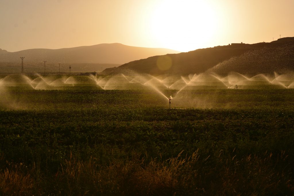 Smart Irrigation
Foto oleh Süleyman Şahan: https://www.pexels.com/id-id/foto/taburan-padang-rumput-saat-fajar-2684805/