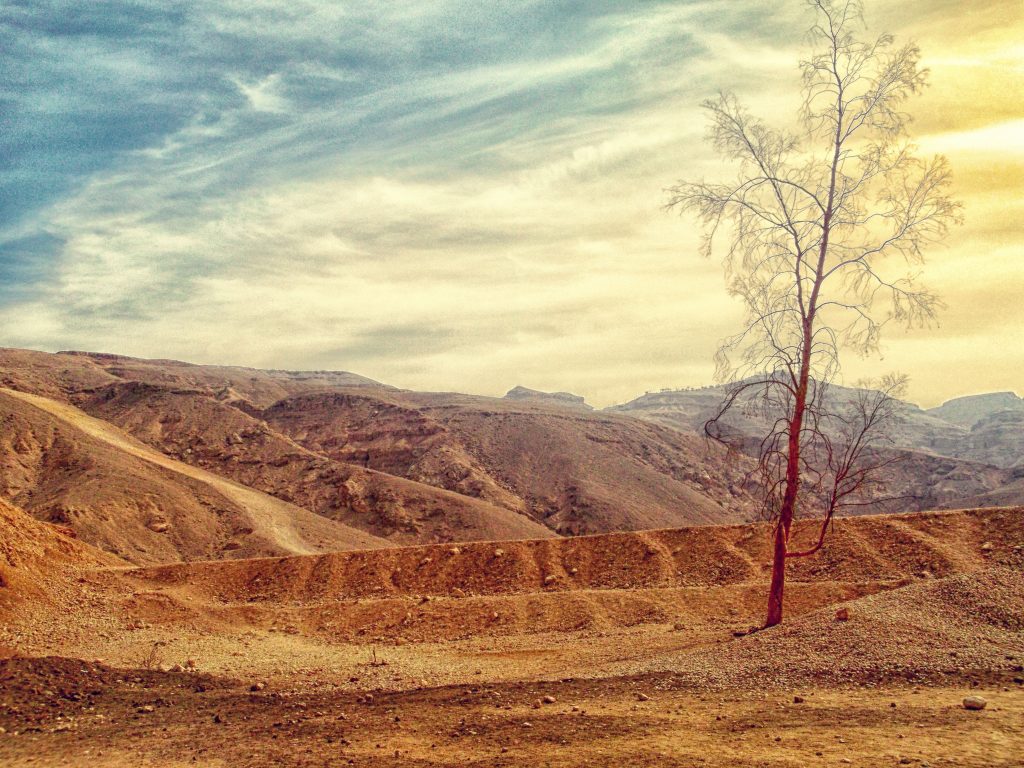 Tekanan Tanah
Foto oleh Mohamed Elshawry: https://www.pexels.com/id-id/foto/pohon-telanjang-di-gurun-pasir-55367/