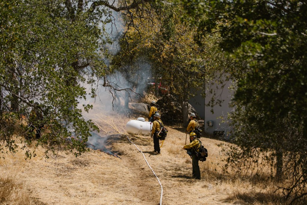 Signifikansi Sensor Suhu Tinggi dalam Pemantauan Kebakaran Hutan
Foto oleh RDNE Stock project: https://www.pexels.com/id-id/foto/alam-merokok-lingkungan-hidup-petugas-pemadam-kebakaran-8551696/