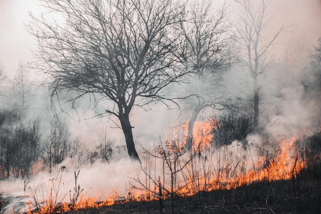 Signifikansi Sensor Cuaca dalam Pemantauan Kebakaran Hutan
Foto oleh Vladyslav Dukhin: https://www.pexels.com/id-id/foto/fajar-pemandangan-alam-cuaca-4070727/