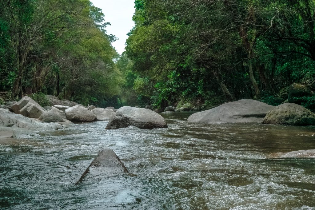 Manfaat Praktis: Pemanfaatan Sensor Arus Air untuk Keseimbangan Ekosistem

Foto oleh Donald Tong: https://www.pexels.com/id-id/foto/sungai-di-antara-pohon-92206/