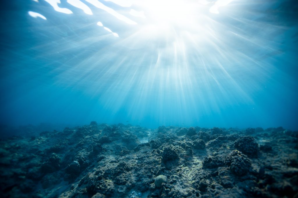Hidden Light: Acoustic Sensors and the Wonders of the Sea

Foto oleh Jeremy Bishop: https://www.pexels.com/id-id/foto/fotografi-bawah-air-lautan-2397651/