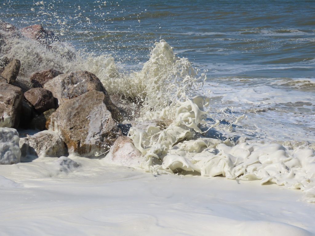 Sensor Gelombang Laut: Ungkap Ancaman Pasang dan Rob

Foto oleh Laurent JULIEN: https://www.pexels.com/id-id/foto/laut-pantai-pasir-air-19275705/