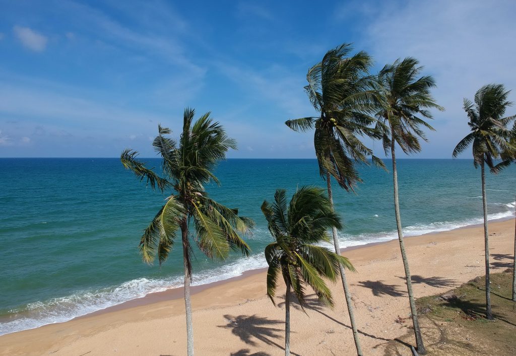 Mengatasi Angin Kencang pada Infrastruktur dengan Sensor IoT

Foto oleh Pok Rie: https://www.pexels.com/id-id/foto/foto-pohon-kelapa-di-pantai-961145/