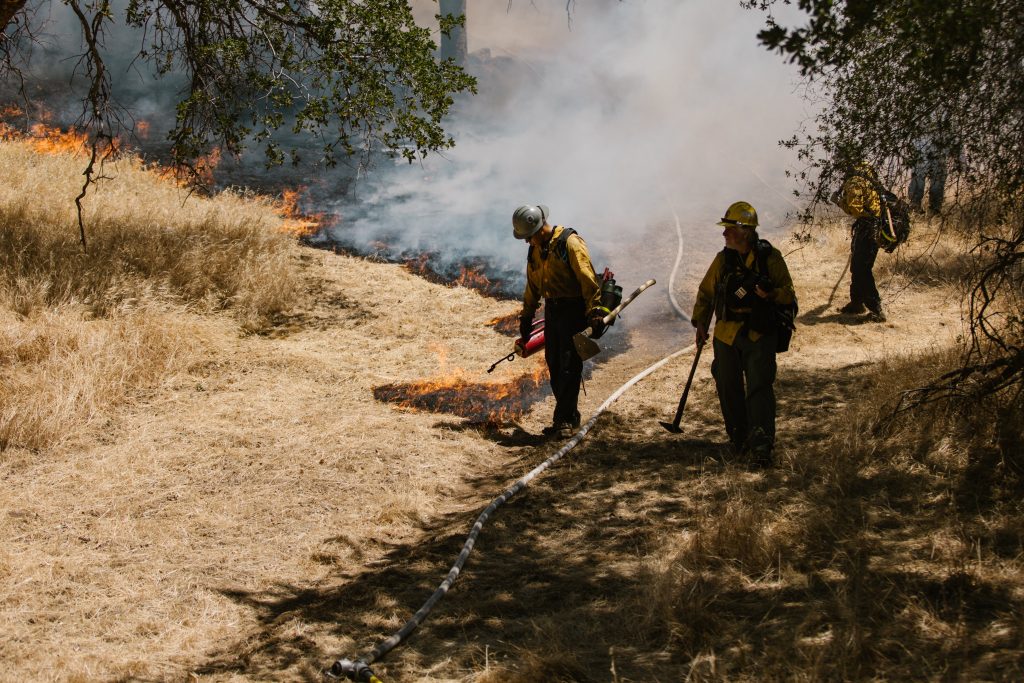 Pencegahan Kebakaran Hutan dengan Sensor IoT
Foto oleh RDNE Stock project: https://www.pexels.com/id-id/foto/alam-merokok-lingkungan-hidup-petugas-pemadam-kebakaran-8551700/