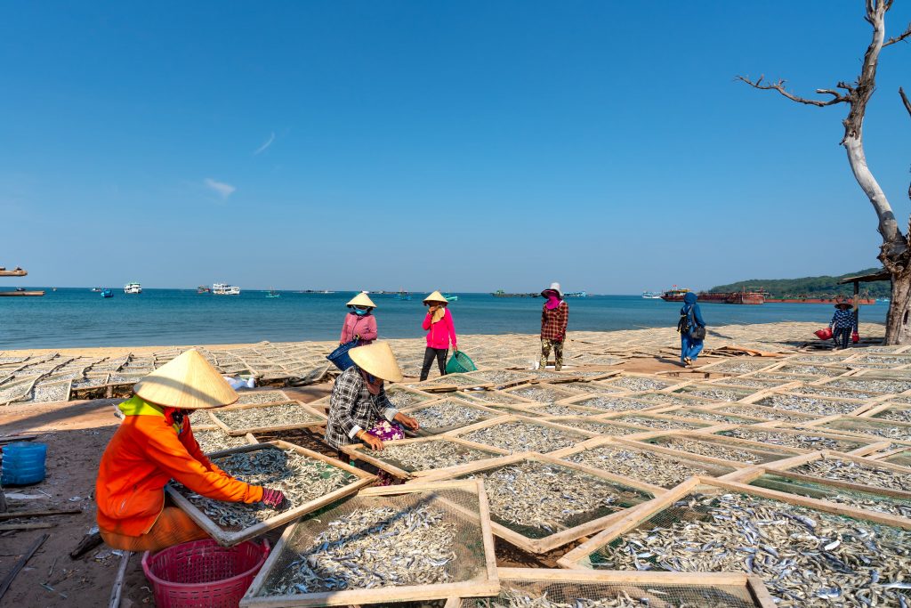 Economic and Environment Benefits

Photo by Quang Nguyen Vinh: https://www.pexels.com/photo/people-working-on-the-beach-drying-fish-14012629/